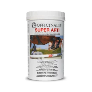 Super Arti (1Kg)