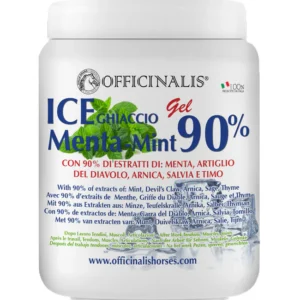 Ice Gel Menta 90% Officinalis (1 lt)